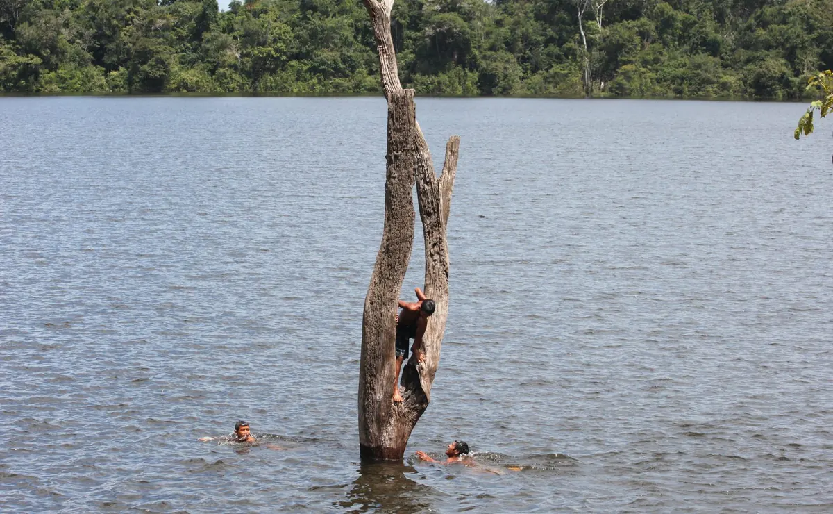 Locals swimming in the river beside a tall submerged tree trunk in the flooded forest