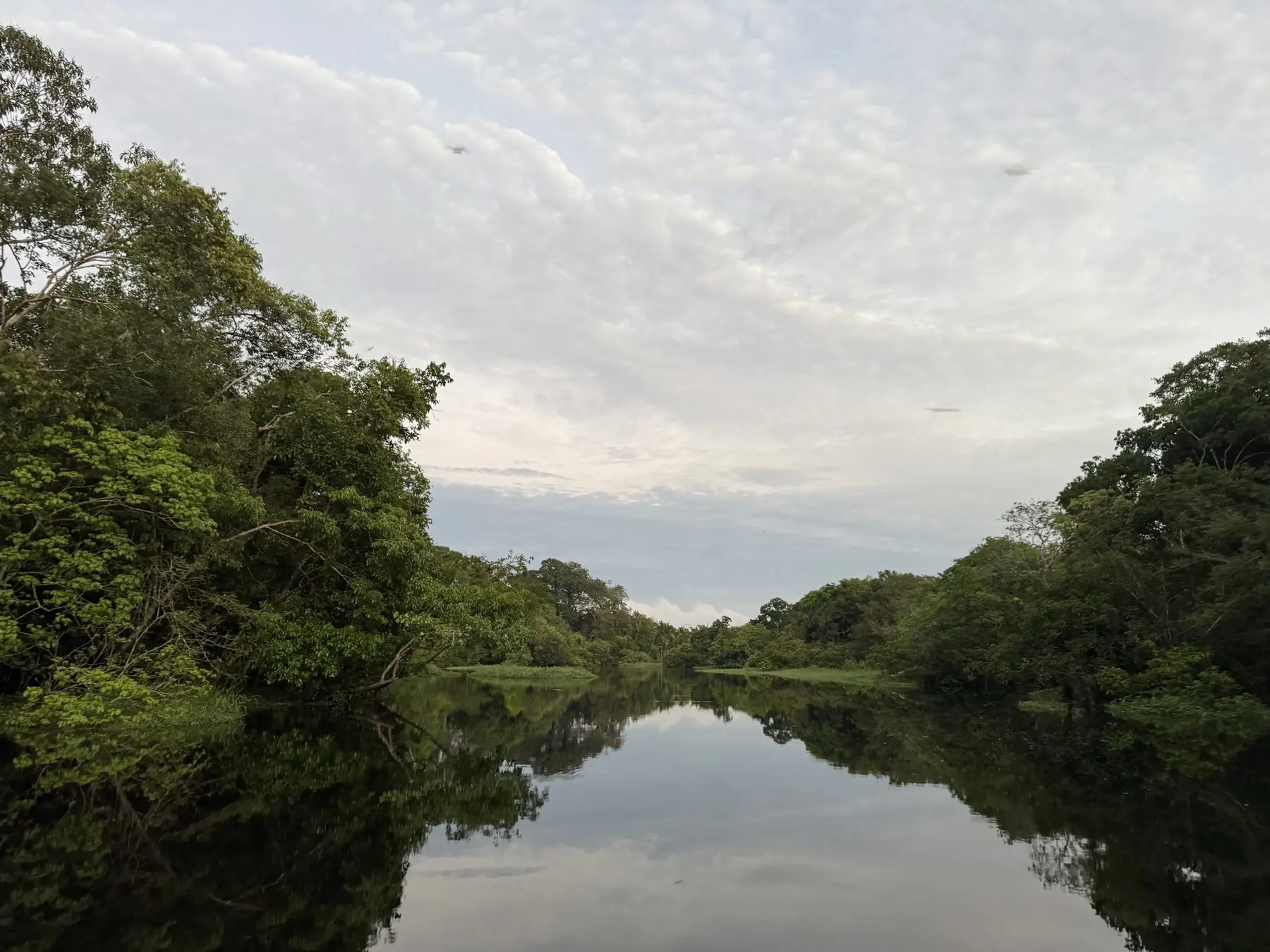 Calm river reflections on the Rio Ariaú & Rio Negro Eco Tour