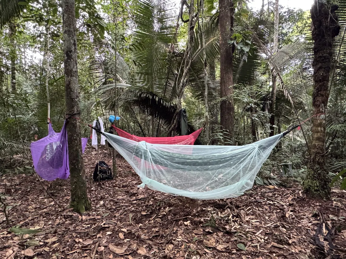 Hammocks with mosquito nets strung between trees at a jungle camp