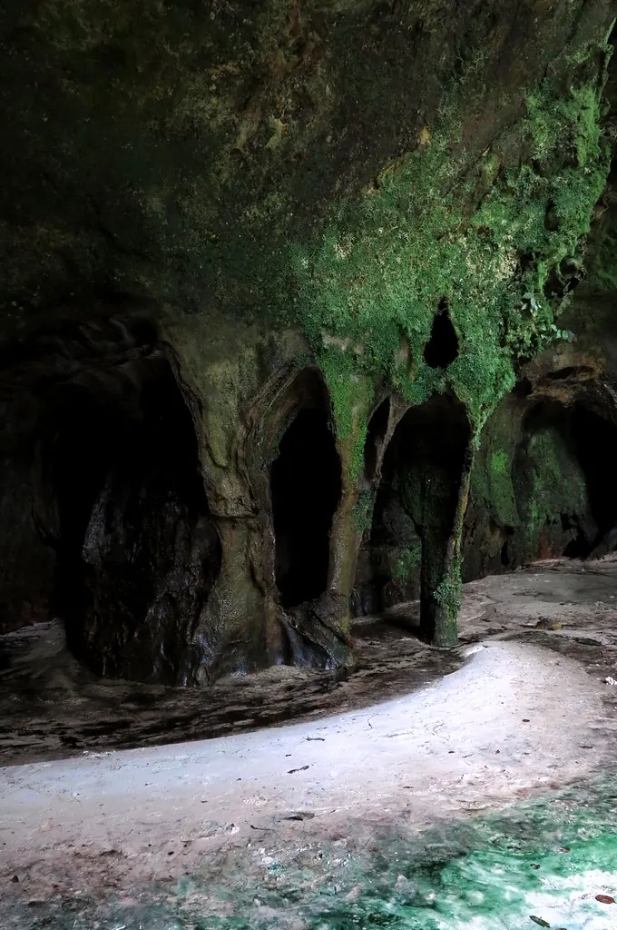 Cathedral-like interior of Caverna do Maroaga with moss-covered sandstone arches, Presidente Figueiredo