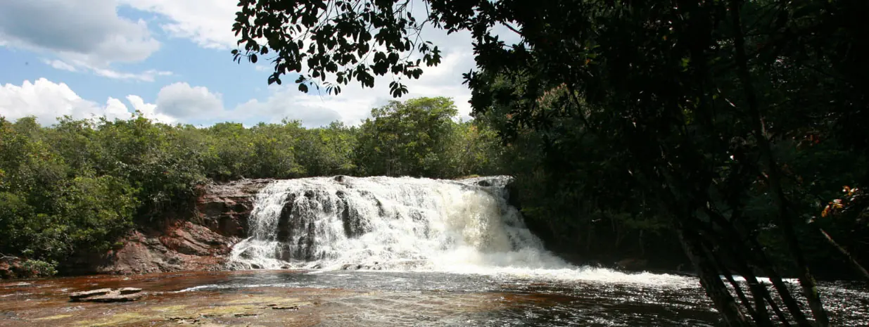 Waterfall and rainforest in Presidente Figueiredo, the Land of Waterfalls