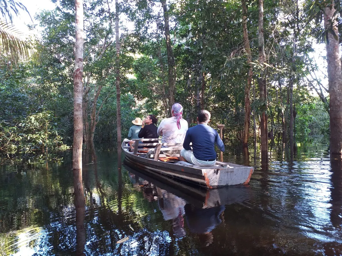 A canoe carrying travellers through the flooded forest, gliding between submerged trunks